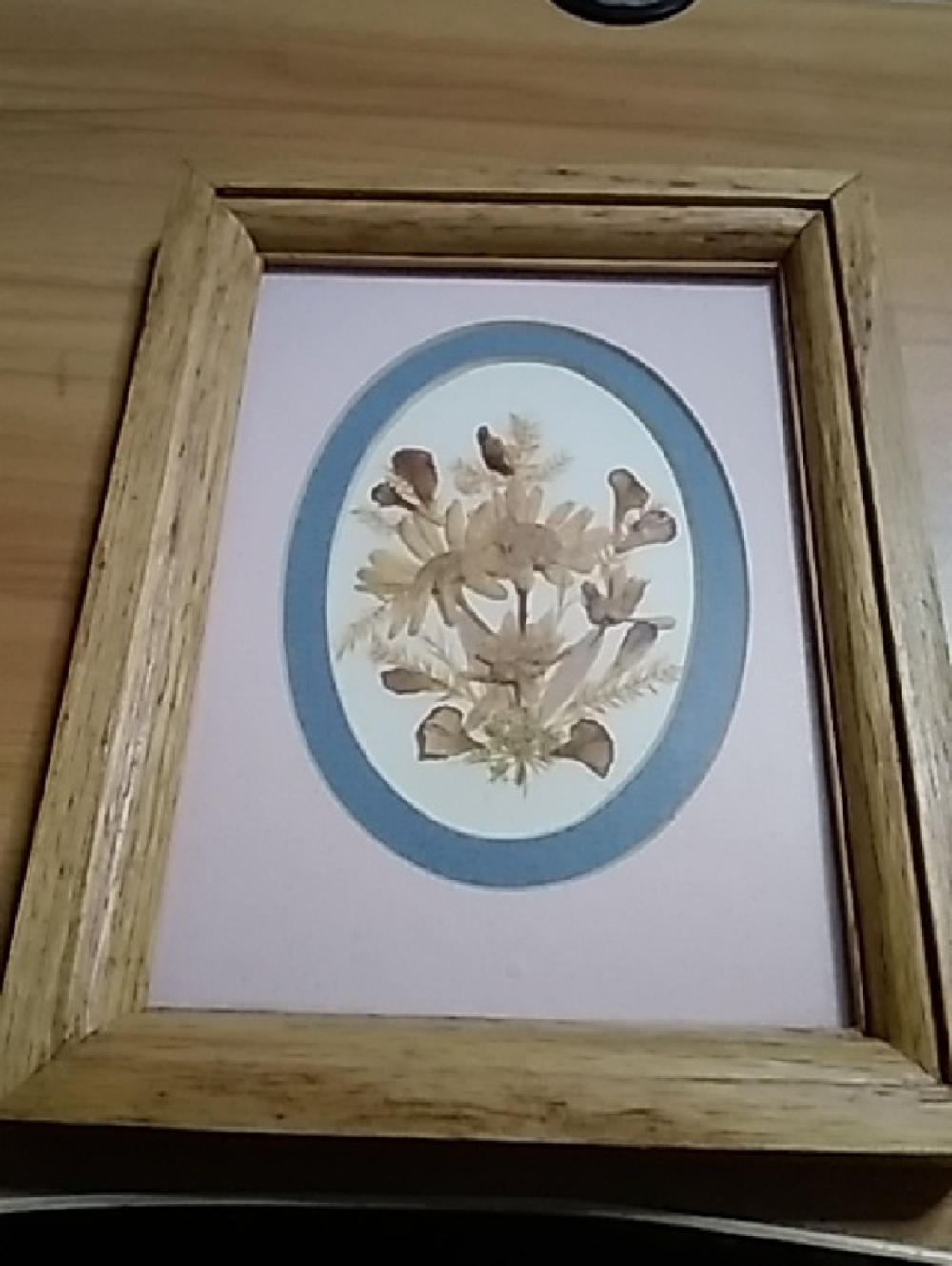 Framed Dried Flower Wall Art - Blue & Pink Mat